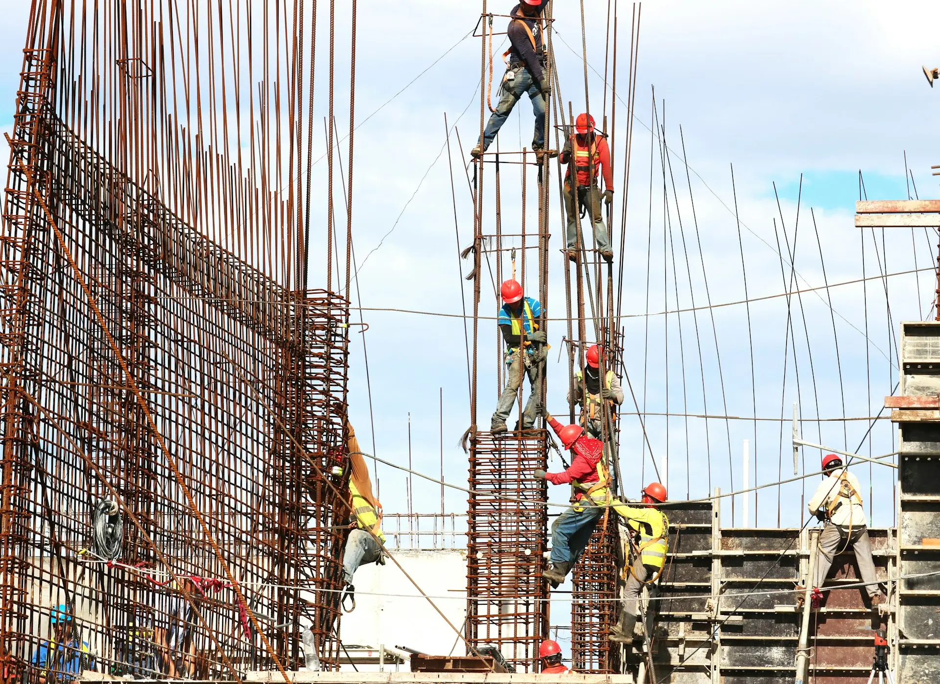 Bas show rebar photograph